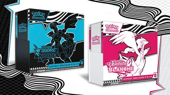 Coffret Dresseur d’élite Foudre Noire et Flamme Blanche, visuel officiel